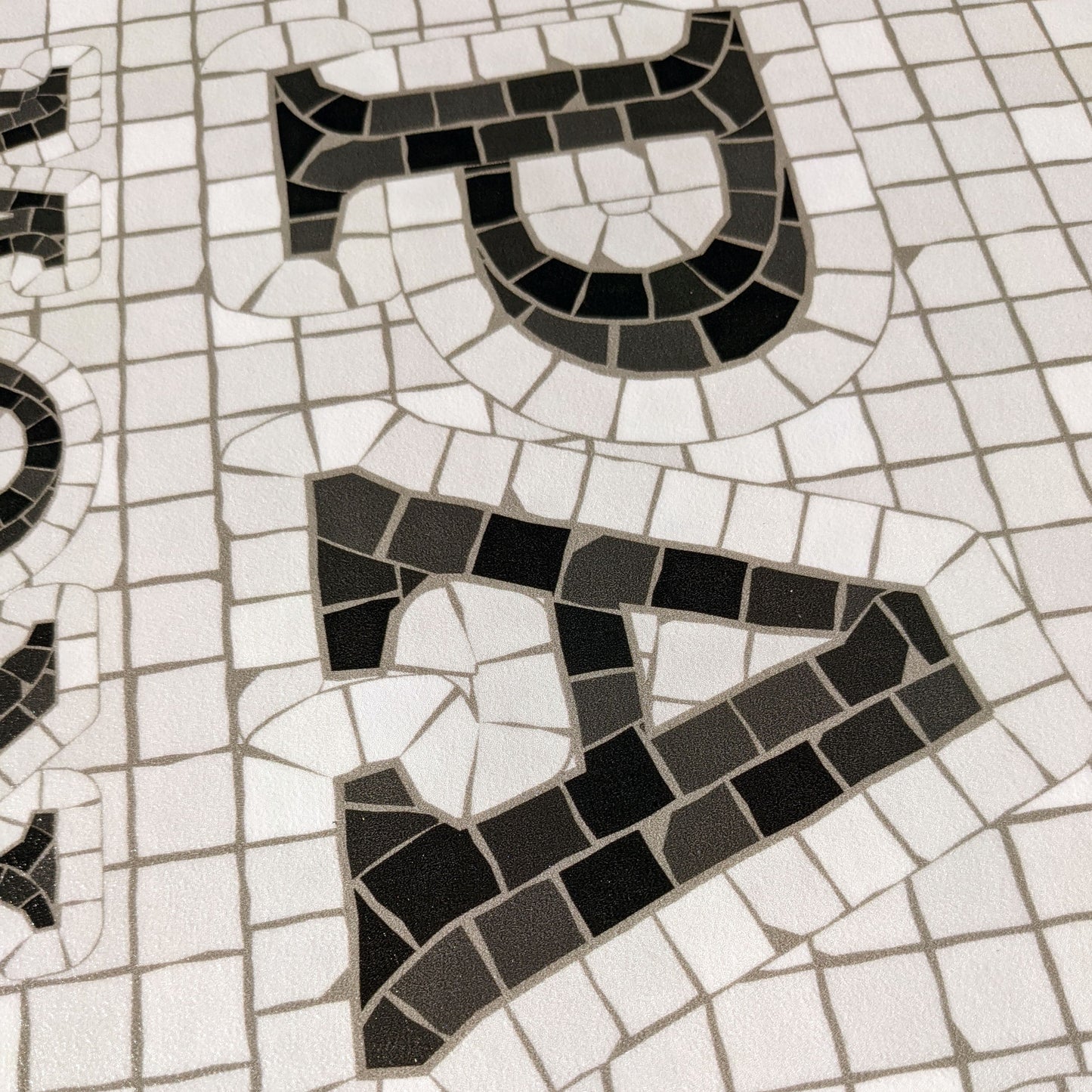 Vinyl Rug Paris - French Address