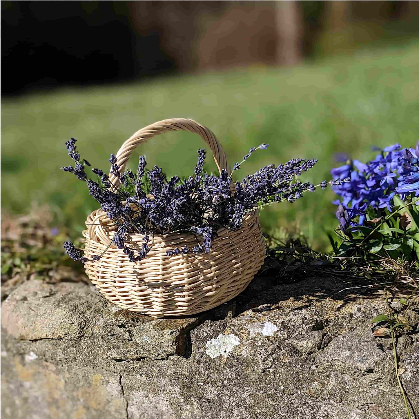 Small wicker basket - French Address